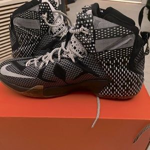 LeBron 12 BHM